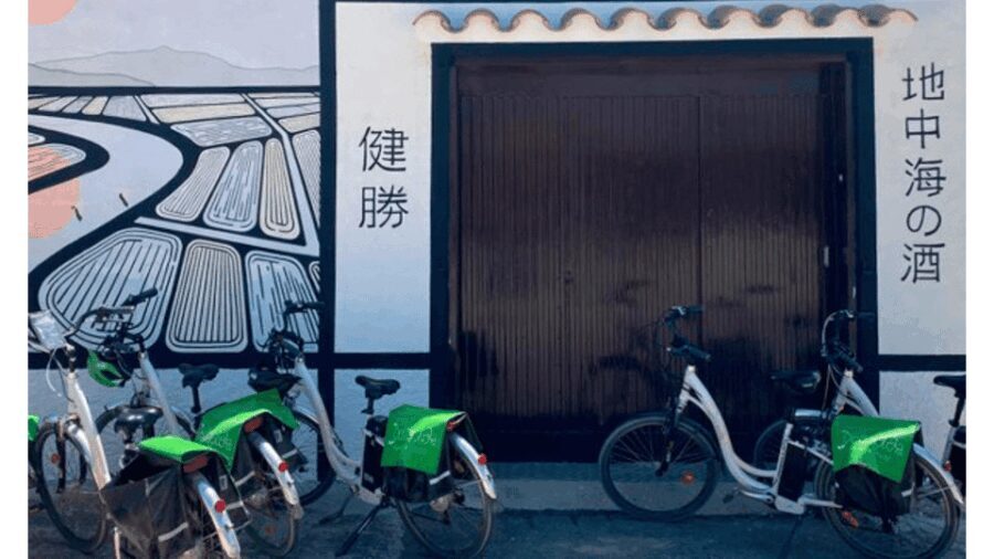 Visit Kensho in the Ebro Delta + Miso tasting - Why This Tour Offers Real Value