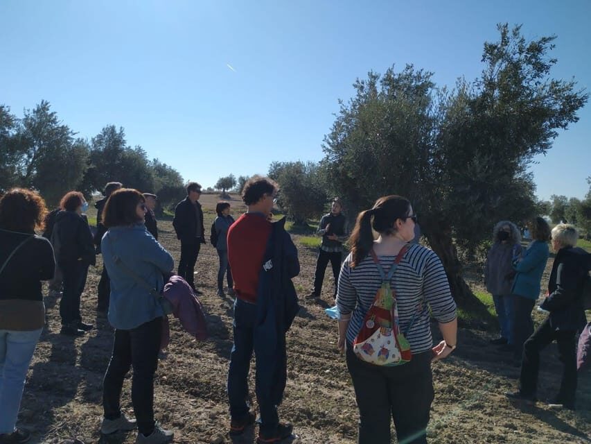 Visit to an olive oil mill and oil tasting with aperitif and food and wine pairing. - Final Thoughts