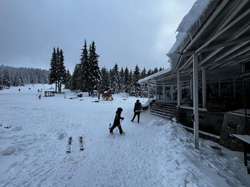 Vitosha: Ski Day Trip by Mountain Stars Ski School - The Experience in Practice