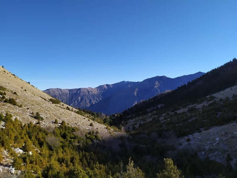 Vlore : Llogara National Park Infocenter to Deep Neck - Why This Tour Offers Great Value