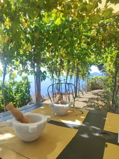 Volastra: BarCa Wine Tasting in Cinque Terre and Pesto Class - Visiting the Cellar: A Peek into Liguria’s Wine Heritage