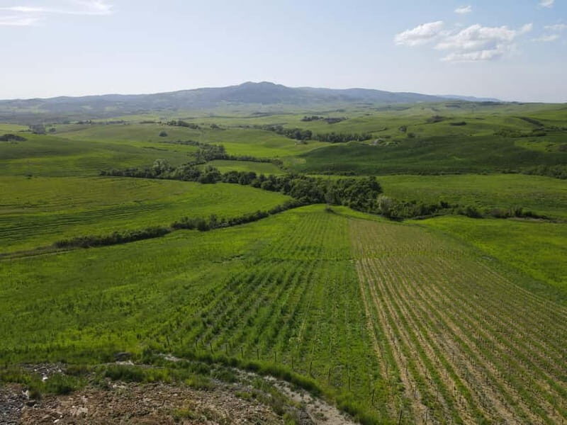 Volterra: Winery Guided Tour and Experience with Tasting - Practical Considerations