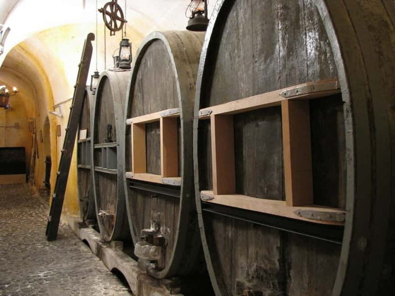 Vothonas: Wine Museum Ticket with Tastings and Audio Guide - The Experience in Detail: What You Can Expect