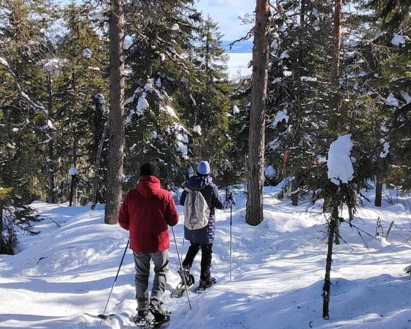 Vuokatti: Snowshoeing Adventure in the Forest - The Itinerary in Detail