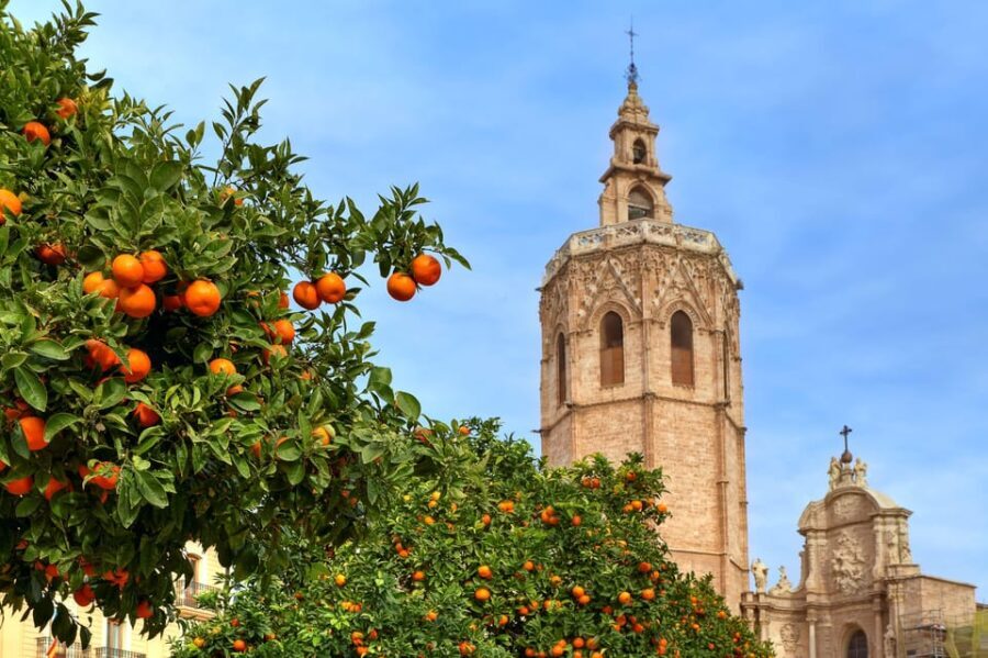 Walking Tour through Valencia's Historic Centre - Why This Tour Is a Great Choice