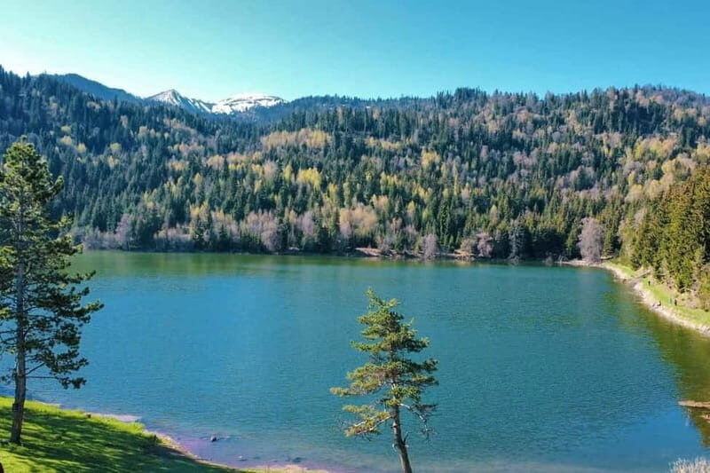 welcome to georgia discover together - A Step-by-Step Breakdown of What to Expect