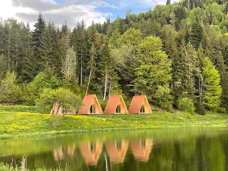 welcome to georgia discover together - Analyzing the Value: Is It Worth It?