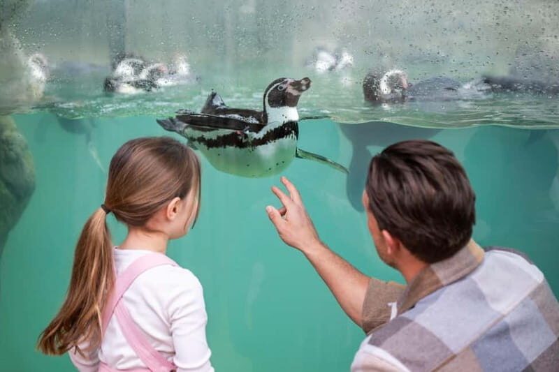 West Midlands Safari Park: Day Admission Ticket - Who Is This Experience Best For?