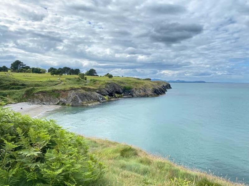 Wicklow: Guided Cliff Walk with Seals and Town Tour w/Picnic - What You’ll Love and What to Consider
