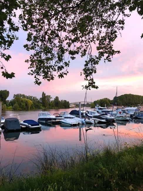 Wiesbaden: Schierstein Weekly Market & Harbor Tour - The Practicalities: What You Should Know
