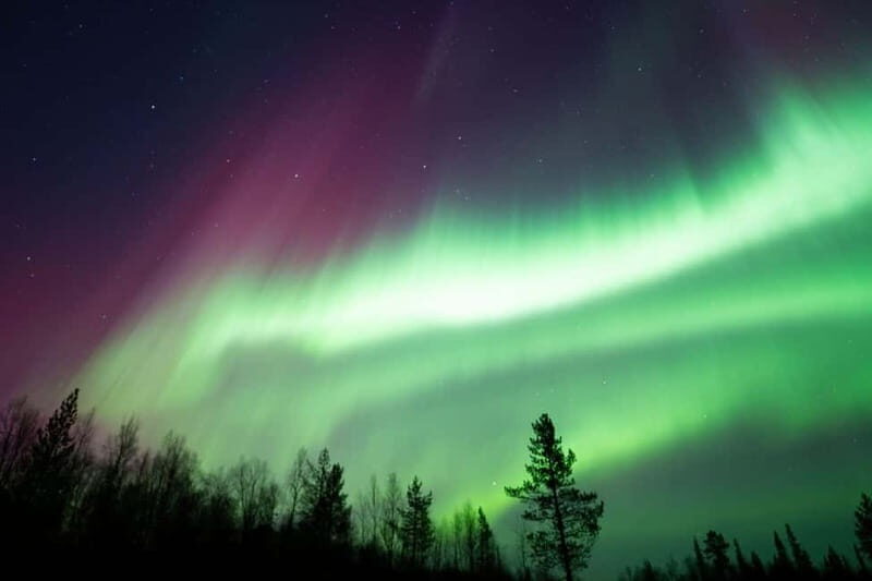 Wilderness Adventure by Snowmobile Sleigh - Meeting Reindeer and Sami Hospitality