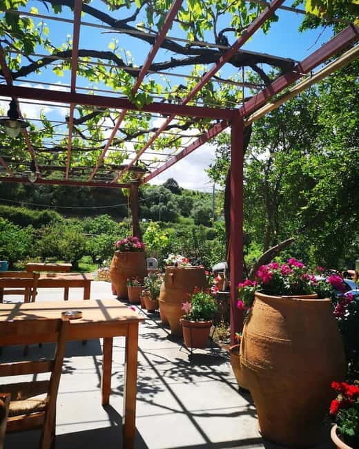 Wine, Dine & Divine: A Cretan Odyssey in Chania - The Experience: What You Can Expect