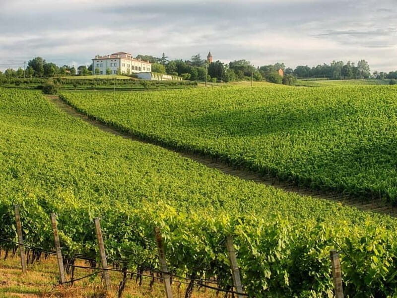 WINE EXPERIENCE & DOZZA - Private Day Tour from Ravenna - What Makes This Tour Stand Out?