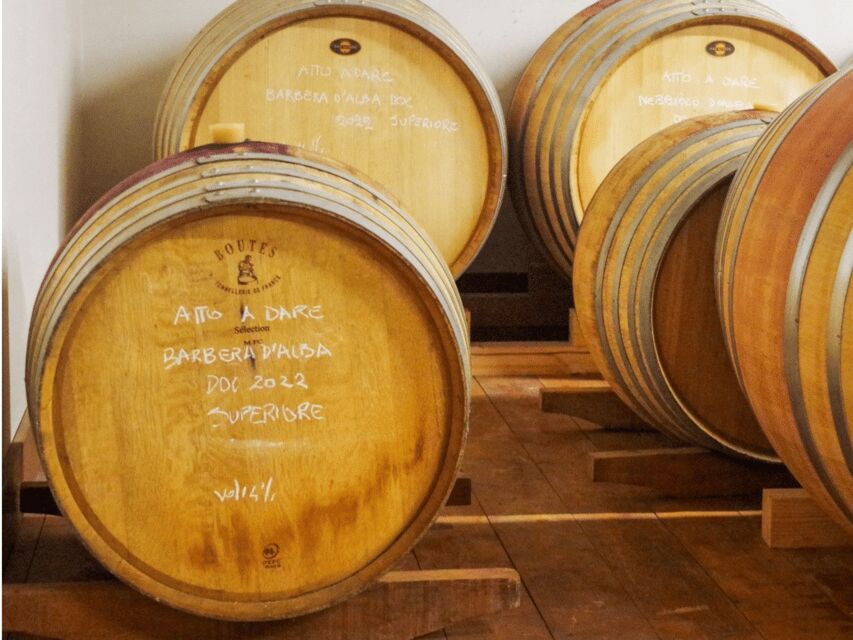 Wine Tasting and Food Pairings in Langhe and near Alba - The Heart of the Tour: Tasting and Food Pairings