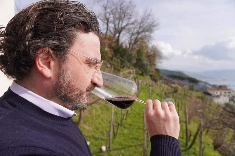 Wine tasting in Cilento with professional sommelier. - Why This Tour Offers Great Value