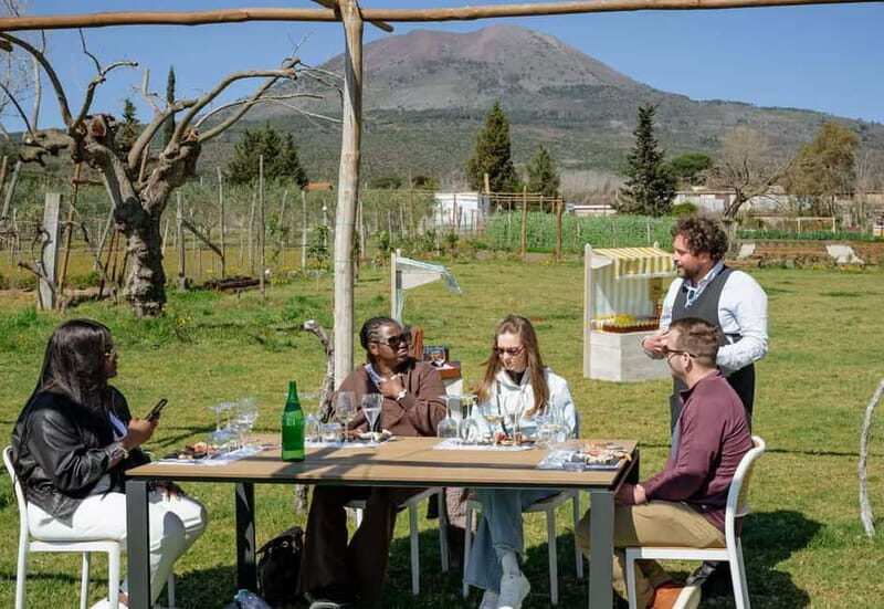 Wine Tasting on Mt. Vesuvius - What Makes This Tour Special?