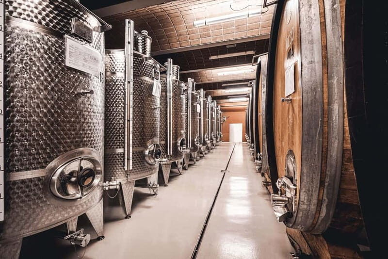 Wine Tasting Tour: Journey to South Tyrols Finest Wines - What the Reviews Say