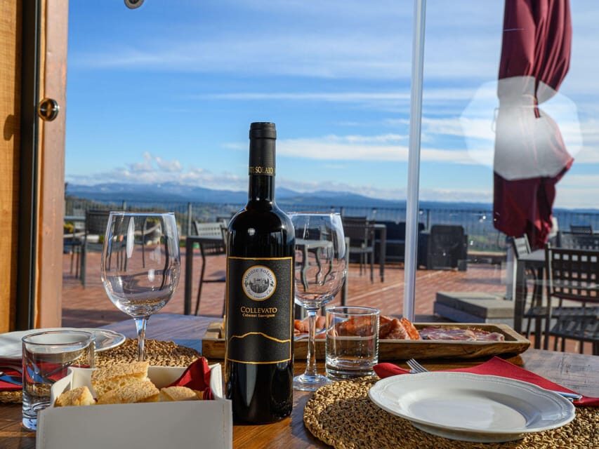 Wine Tasting with Local Food Pairing near Livorno - Who Will Love This Tour?