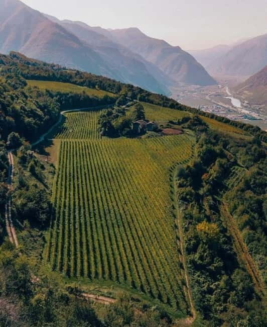 Wine tour at Borgo dei Posseri: wine, nature, and authenticity - The Vineyard Route and Tasting Islands