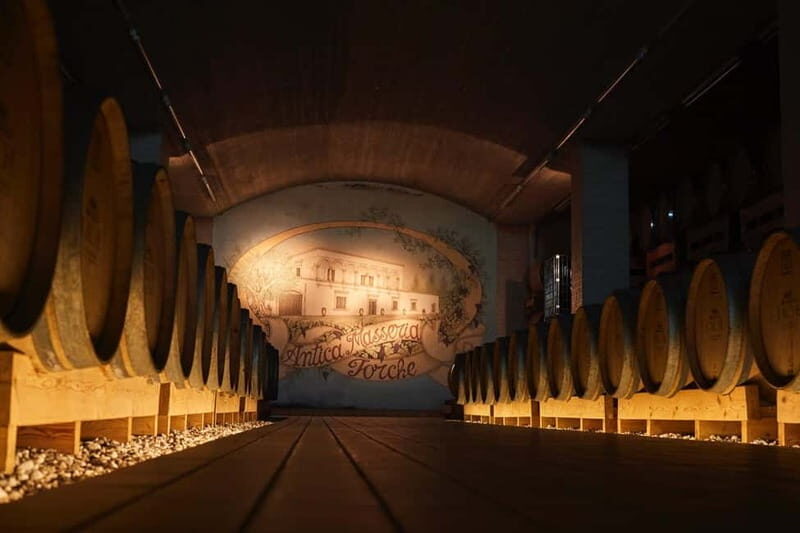 Wine Tour "Discovery Jarche" - What You Can Expect on the "Discovery Jarche" Tour