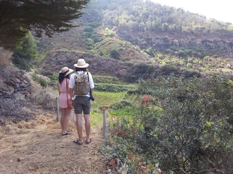 Wine Trekking in Salina: Walk and Tasting of Local Products - Exploring Salina’s Biodiversity and Local Products