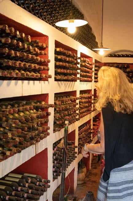 WINERY AND VINSANTAIA TOUR + TASTING + PLATTER - Practical Details and What It Means for Travelers