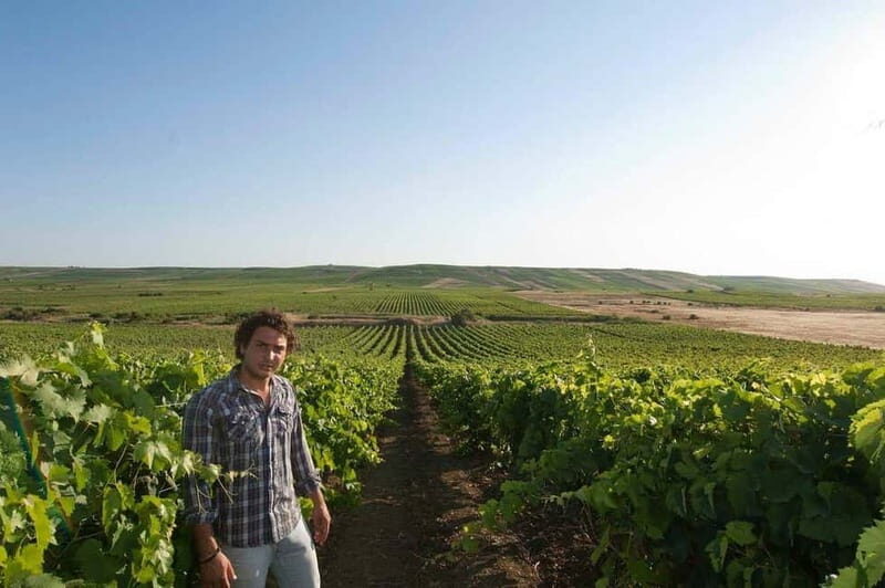 Winery tour in Marsala with wine tasting and local products - Who Will Love This Tour?