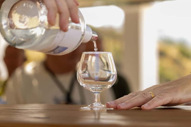 Wines of Rhodes: Traditional Wine Tasting in the vineyards - The Experience in Detail