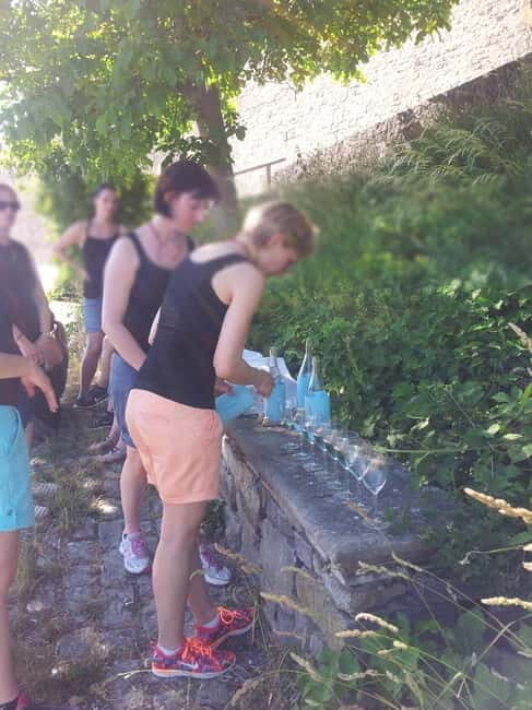 Wuerzburg: Vineyard rally with wine tasting and group dynamics - The Value of the Experience