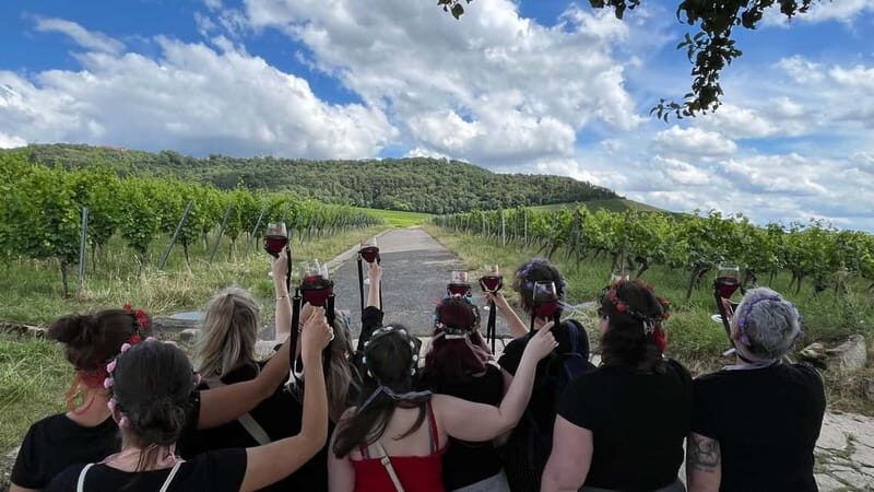Würzburg: Excursion to the vineyards - enjoyable wine hike & tasting - The Value of Wine Education in the Outdoors