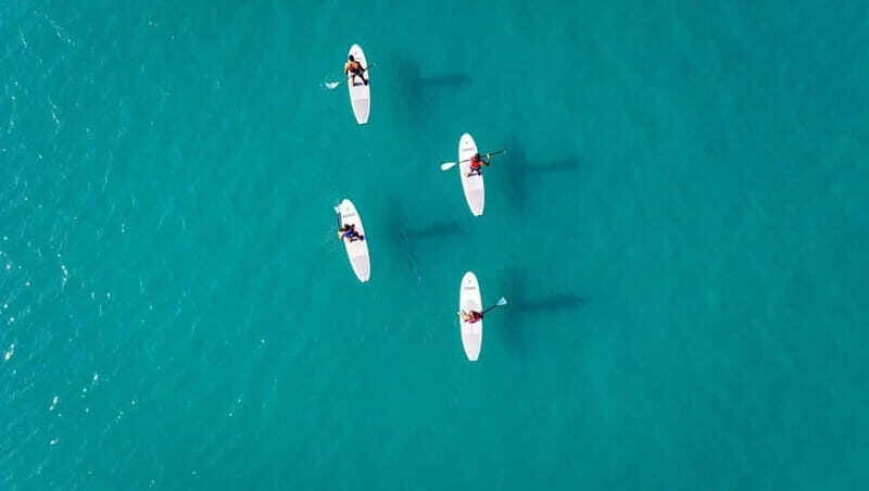 WWF TOUR alla Riserva Naturale di Torre Salsa in SUP - What to Expect During the Tour