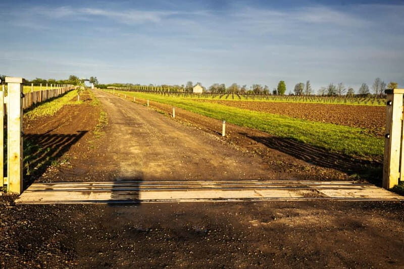 Yorkshire: Loversall Vineyard Wine Tasting and Tour - A Closer Look at the Experience