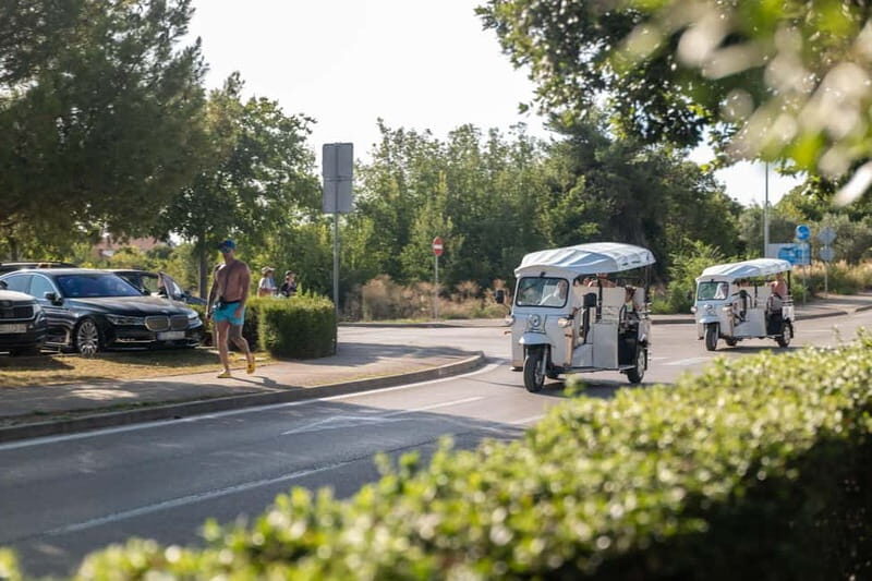Zadar: City and Wine panoramic tour - Who Will Enjoy This Tour?