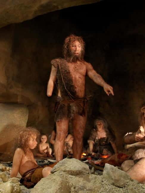 Zagreb: Krapina Neanderthal Museum & Trakoan Castle Tour - Who Will Love This Tour?