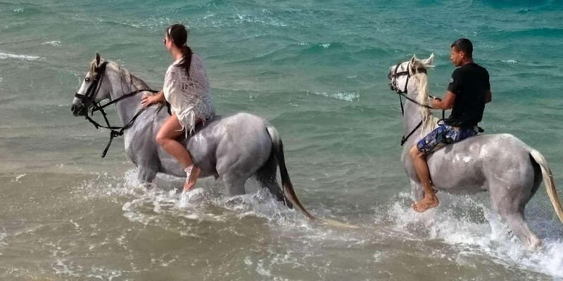Zakynthos: Yotomu Horseback Riding Tour - Why Choose This Tour?