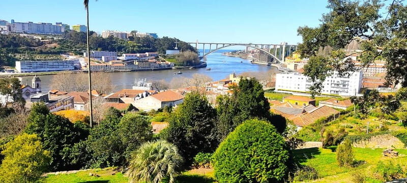 Zen Walking Tour Porto: Find Your Balance 2h - The Value of Guided Meditation and Relaxation