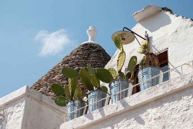 Alberobello: 2-hour Walking Tour - Group or Private - Authenticity and Experience: What You’ll Take Away