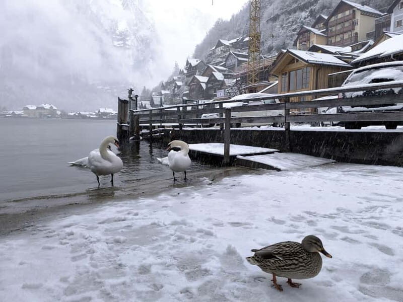 Alpine Beauty & Fairytale Towns: Hallstatt & Salzburg Tour - How Does the Price Stack Up?