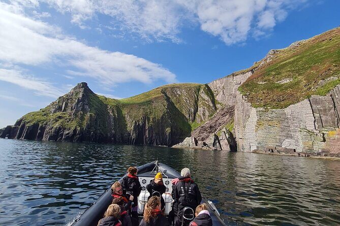Blasket Island Sea Life Rib Tour, - The Experience and What You’ll Actually See