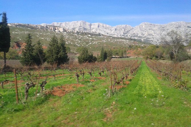 Cotes de Provence Wine Tour from Aix-en-Provence - The Itinerary in Detail