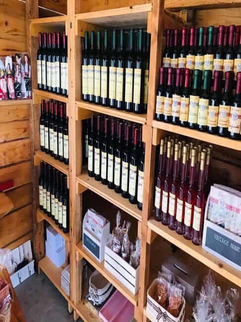 From Dubrovnik: Half-Day Wine Tasting and Cavtat City Tour - A Detailed Look at the Tour Experience