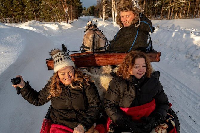 Sleigh or wagon ride in the arctic Country side - Practical Details & Tips