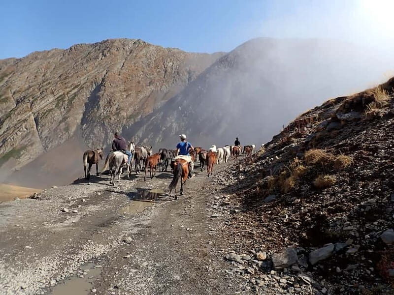 Vashlovani Nature Reserve: Horse Riding Tour - Practical Details