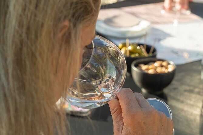 1/2 day, private wine tour, van from Saint Tropez - Who Will Love This Tour?
