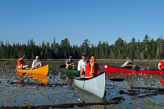 1 Day Canoeing Tour in Algonquin Park - An In-Depth Look at the Tour