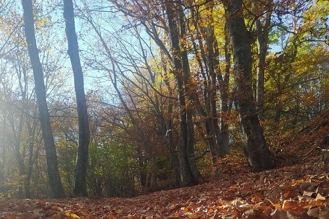 1 Day Chortiatis mt Thessaloniki Hiking Tour with Hotel Pickup - The Sum Up