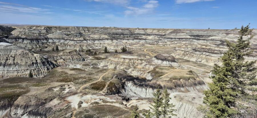 1 Day of Drumheller Dinosaurs and Badlands Guided Tour - An In-Depth Look at the Drumheller Badlands Day Trip