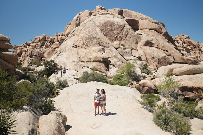 1-day Private Tour to Joshua Tree National Park from Los Angeles - First Stop: Pioneertown
