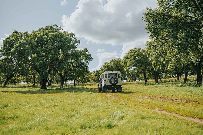 1 Day Wine Tour Around Évora - The Price and Overall Value