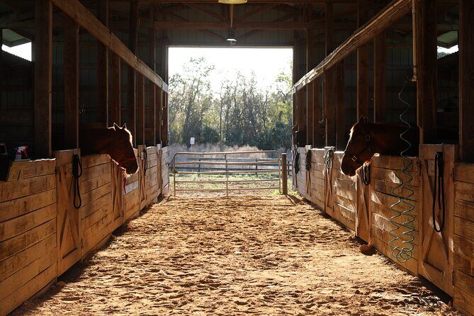 1 Hour Guided Horseback Trail Ride Rock Springs Run State Reserve - Authentic Reviews Confirm the Experience